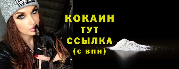 винт Бородино