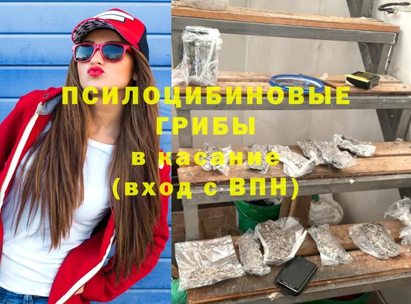 МДПВ Бронницы
