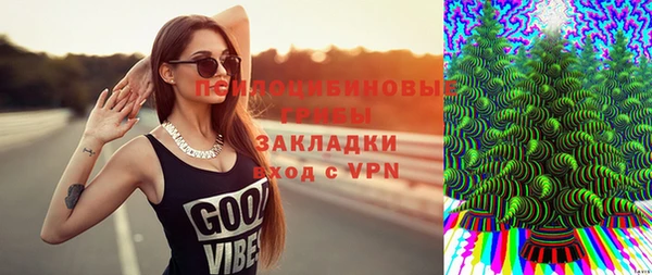 МДПВ Бронницы