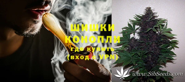 МДПВ Бронницы